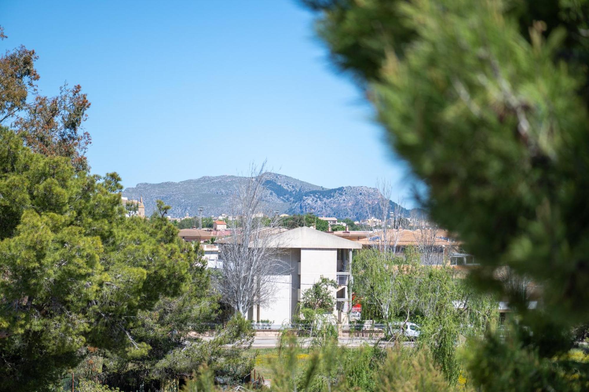 Apartamento Minerva Alcúdia Kültér fotó